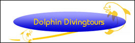 divingtours-tauchreisen