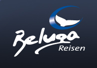 beluga-tauchreisen