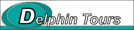 delphin-tauchreisen