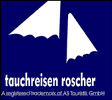 roscher-tauchreisen